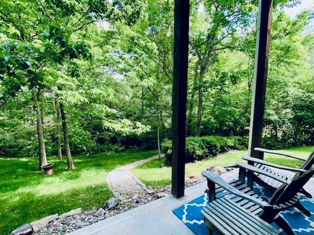 6217 Green Hills Lane — photo 49