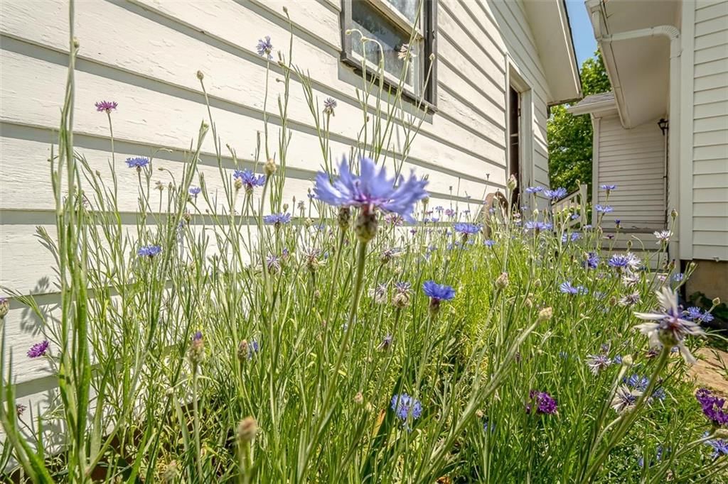 922 Frazier Street — photo 42