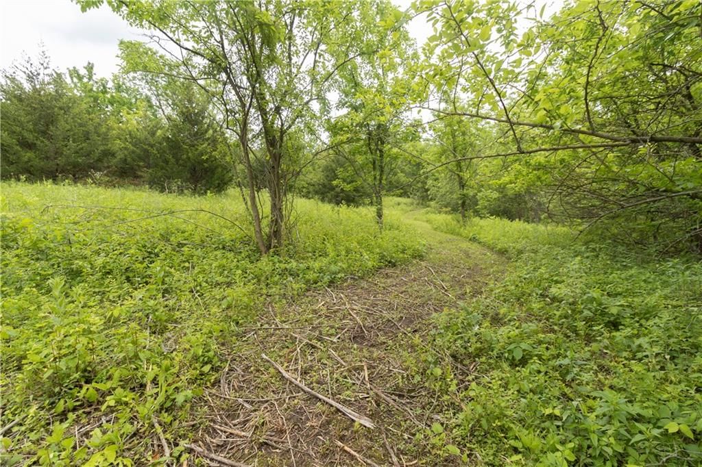 128 SW mo 2 N/A — photo 19