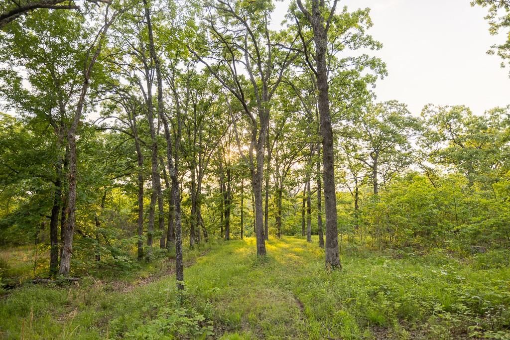 1104 NE 75 Road — photo 78