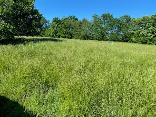 7734 Us 159 Highway — photo 23