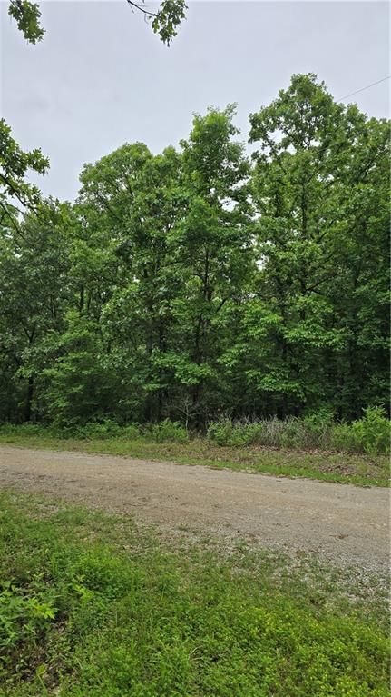 1548 Astrid Lane — photo 3