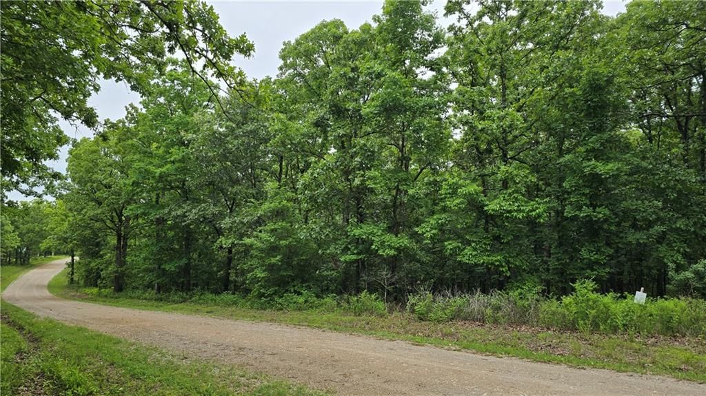 1548 Astrid Lane — photo 4