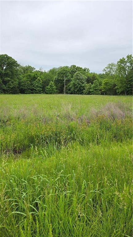 3517 Forbes Road — photo 4