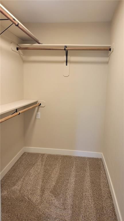 208 W Marshall Street — photo 5