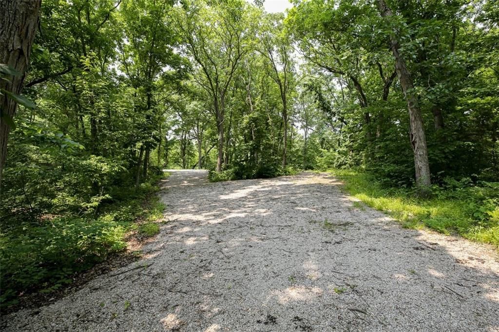 25812 Louisa Drive — photo 11