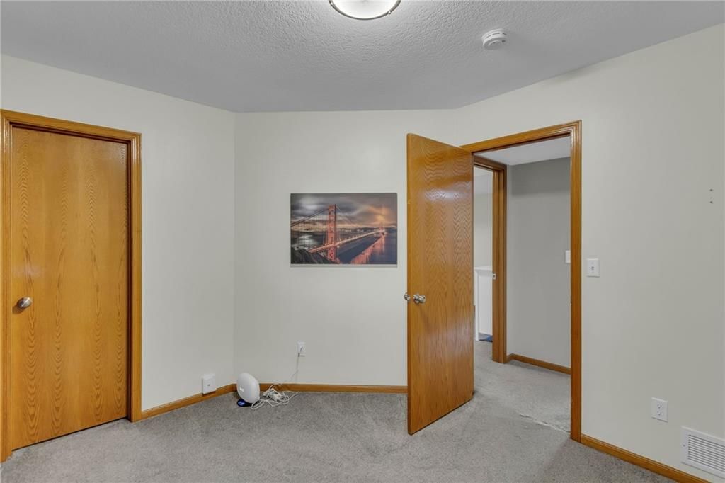 4217 Saddlehorn Drive — photo 19