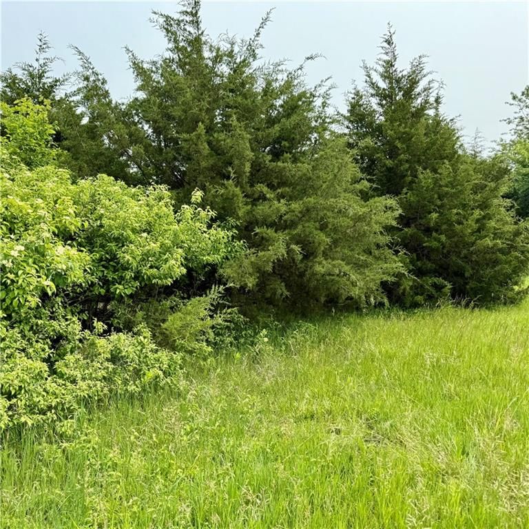 81 Newberry Drive — photo 2