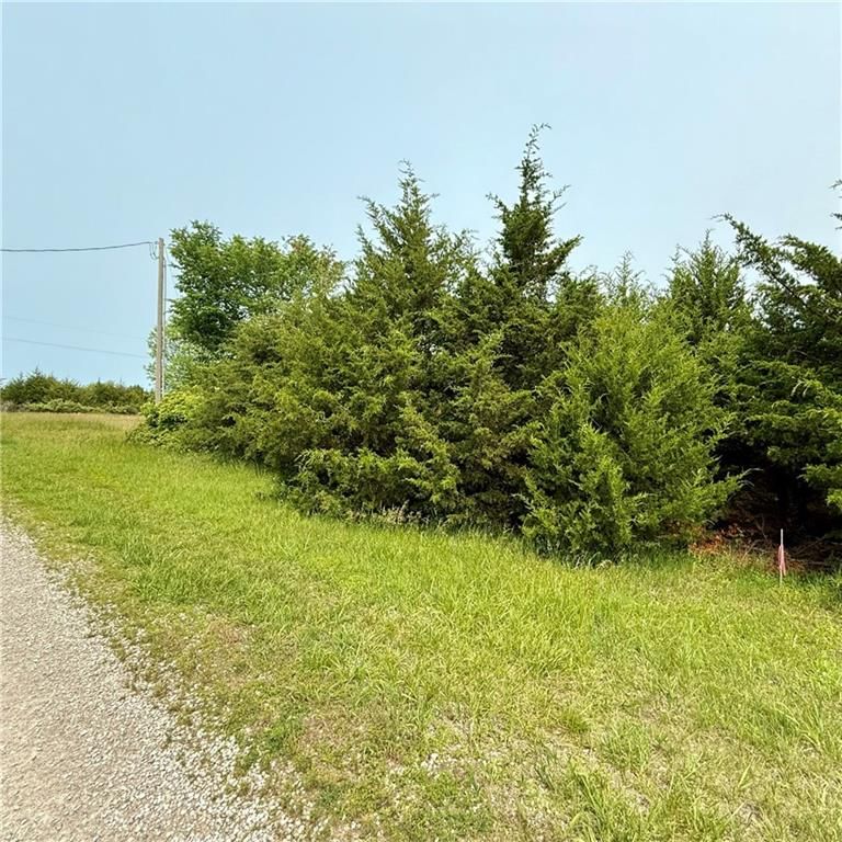 81 Newberry Drive — photo 4