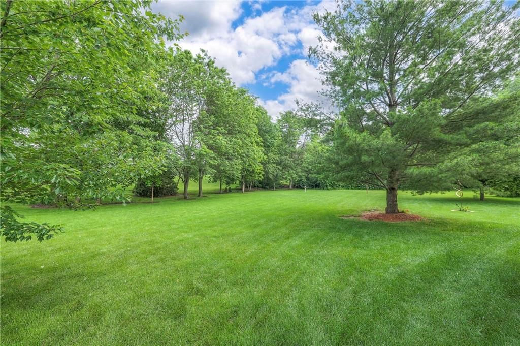913 Birchwood Drive — photo 13