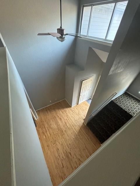 8951 Hauser Street — photo 18