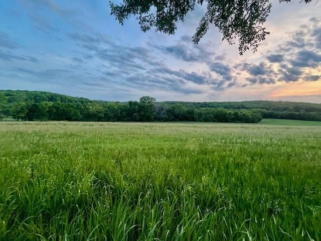 10.01 Acres M/L E 1100 Road — photo 7