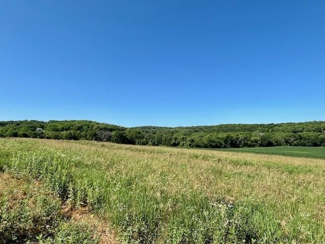 10.01 Acres M/L E 1100 Road — photo 8