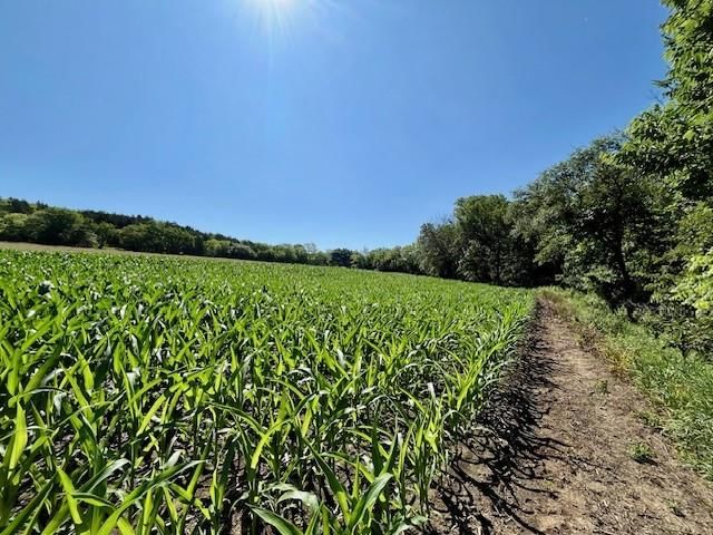 10.01 Acres M/L E 1100 Road — photo 9