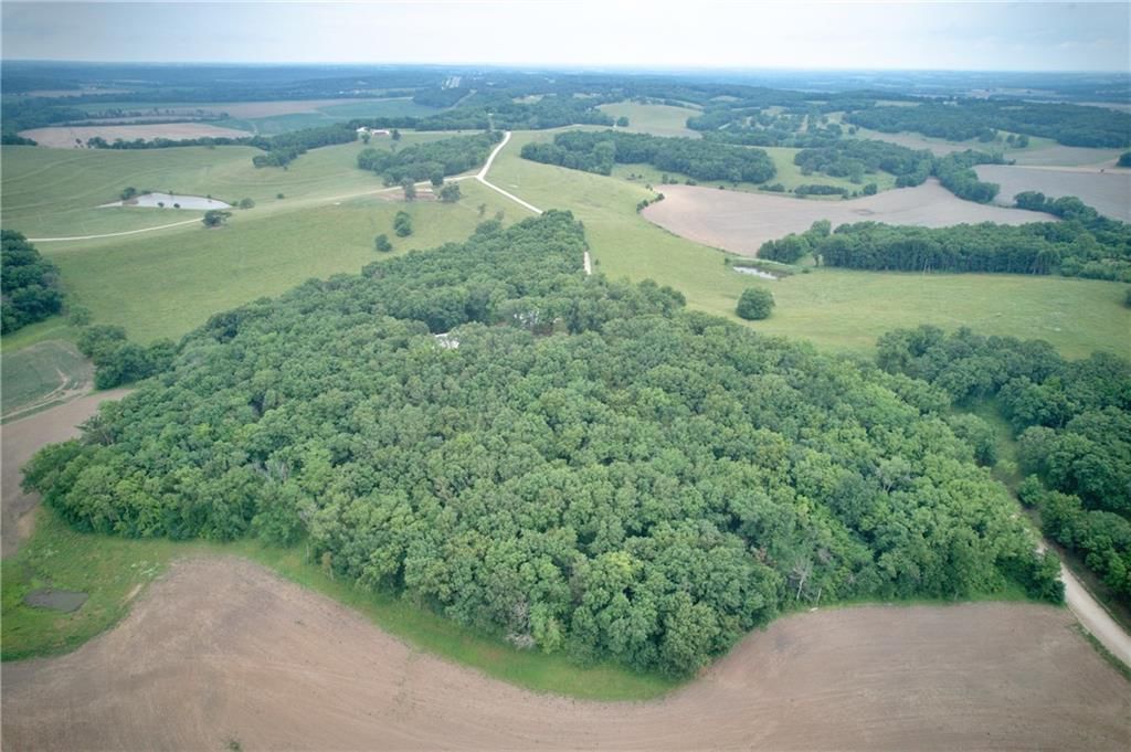 5325 Bryant Bottom Road — photo 35