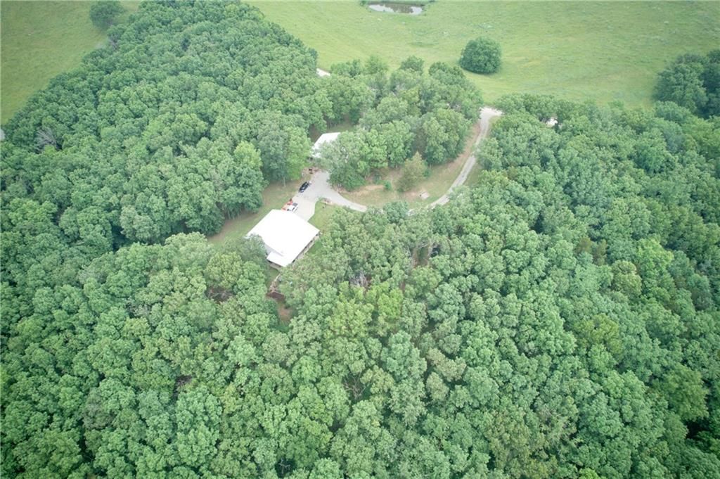 5325 Bryant Bottom Road — photo 37