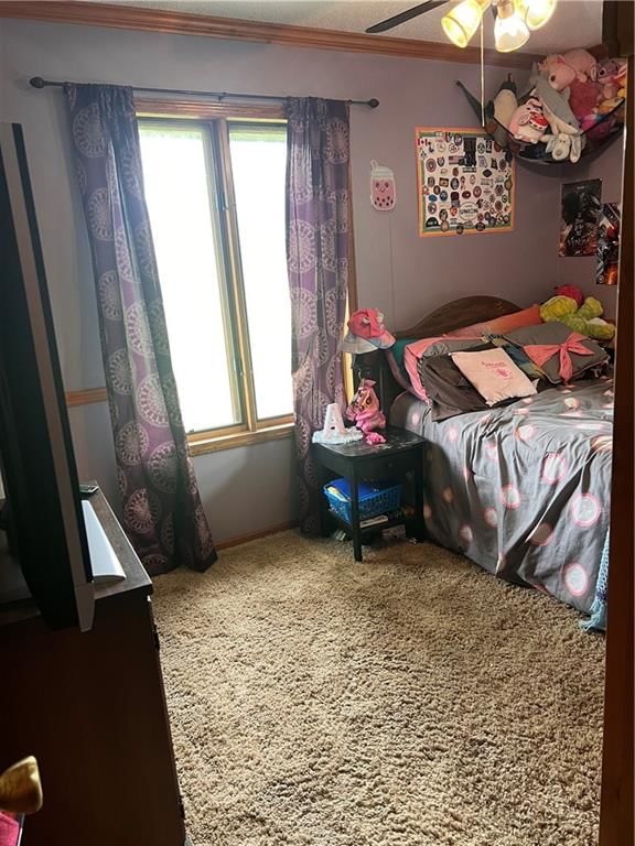 25220 S Blinker Light Road — photo 17