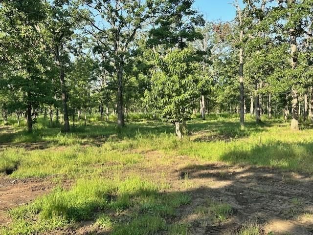 16152 E Walkaway Road — photo 6