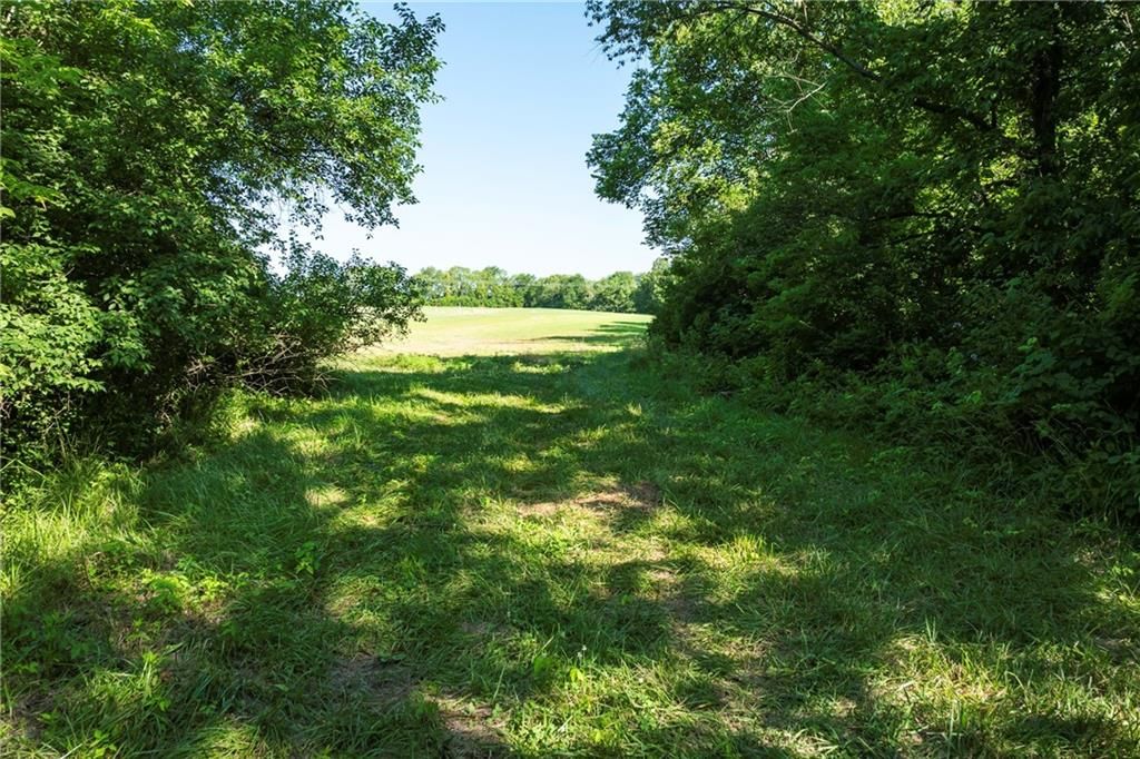 33804 E Pink Hill Rd, Tract D N/A — photo 12