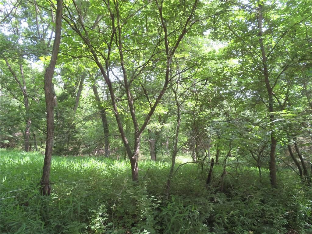 14974 Arthur Road — photo 33