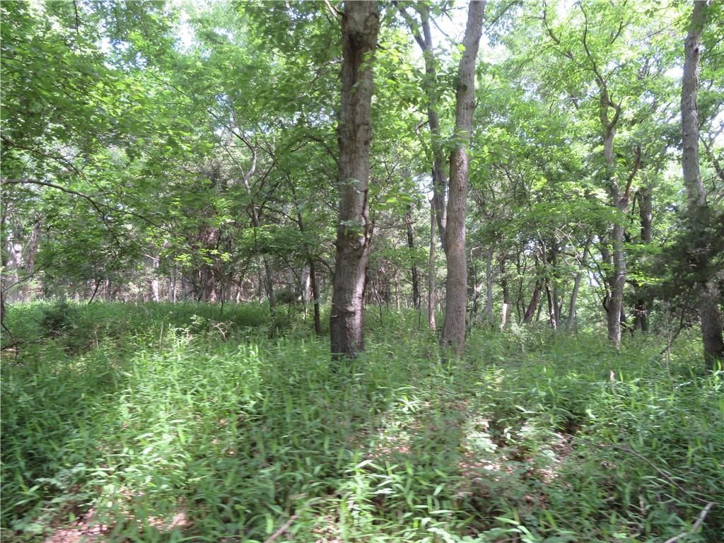 14974 Arthur Road — photo 35