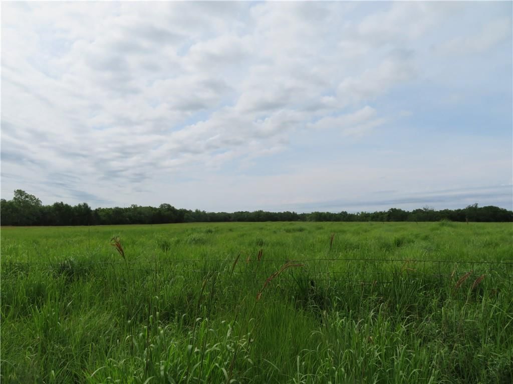 14974 Arthur Road — photo 43