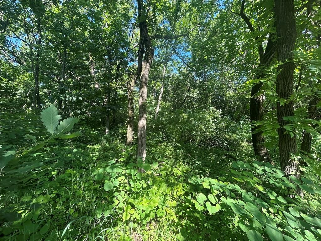 226 E Sugar Lake Drive — photo 5