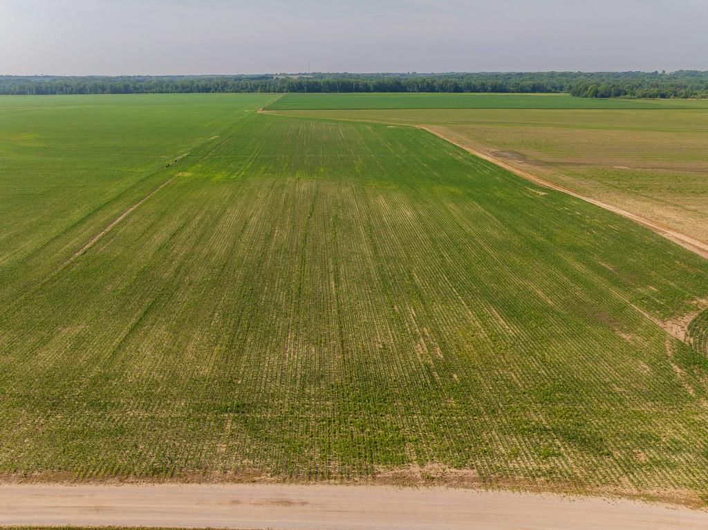 CR 339 Road — photo 15
