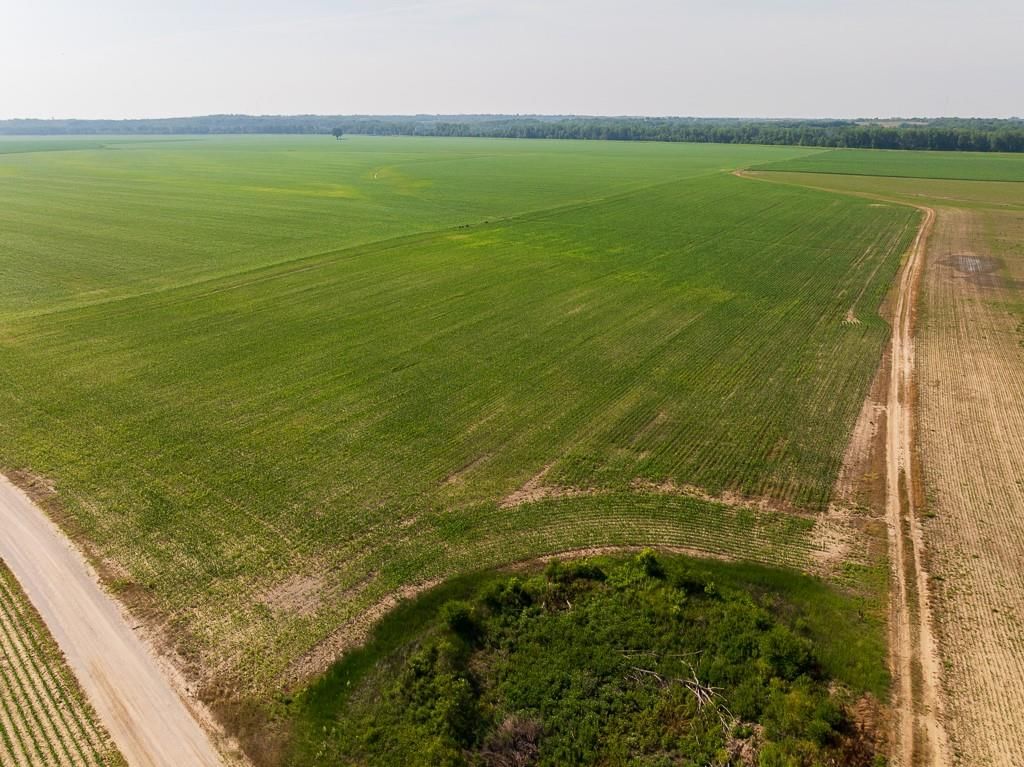 CR 339 Road — photo 16