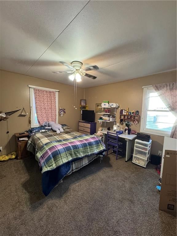 2019 Barkley Lane — photo 9