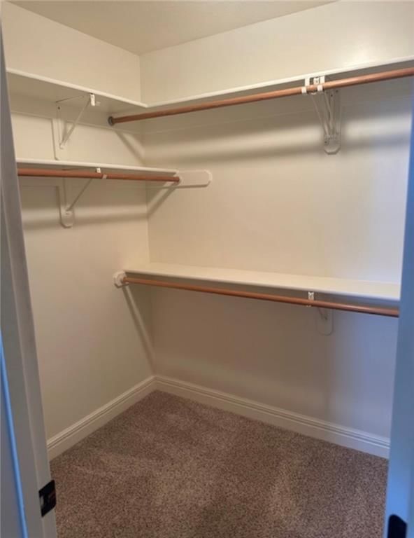 1703 Esther Drive — photo 17