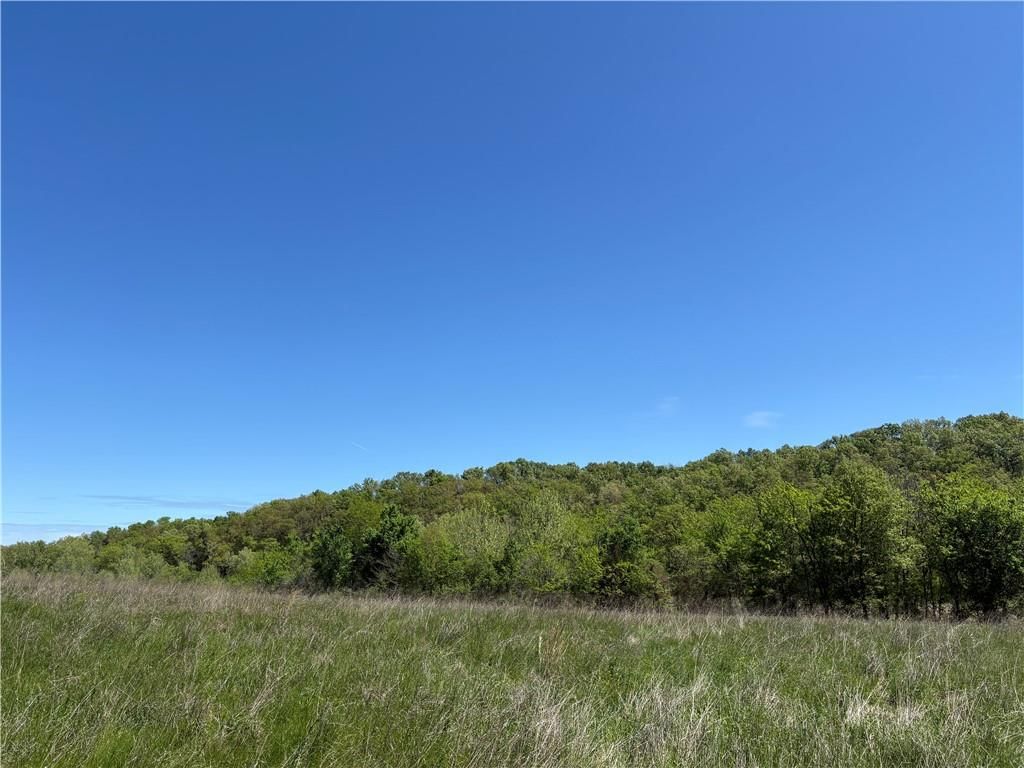 Tavern Creek Road — photo 8