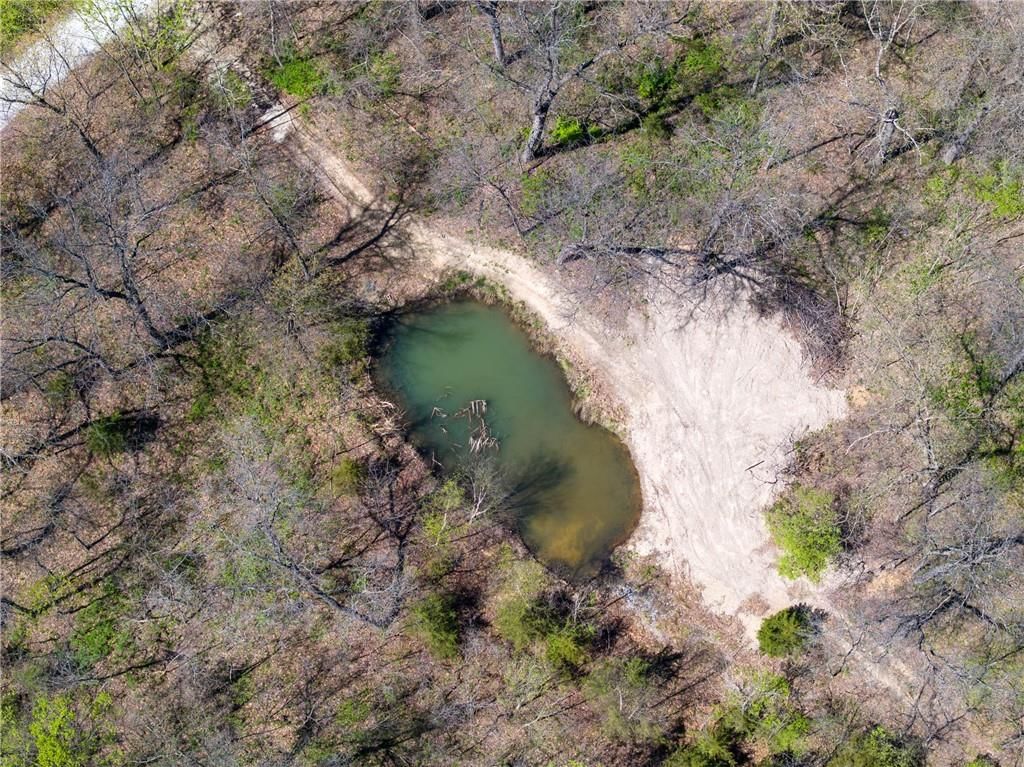 602 SE 400th Road — photo 41