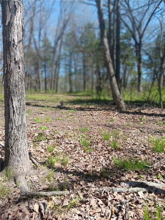 602 SE 400th Road — photo 49