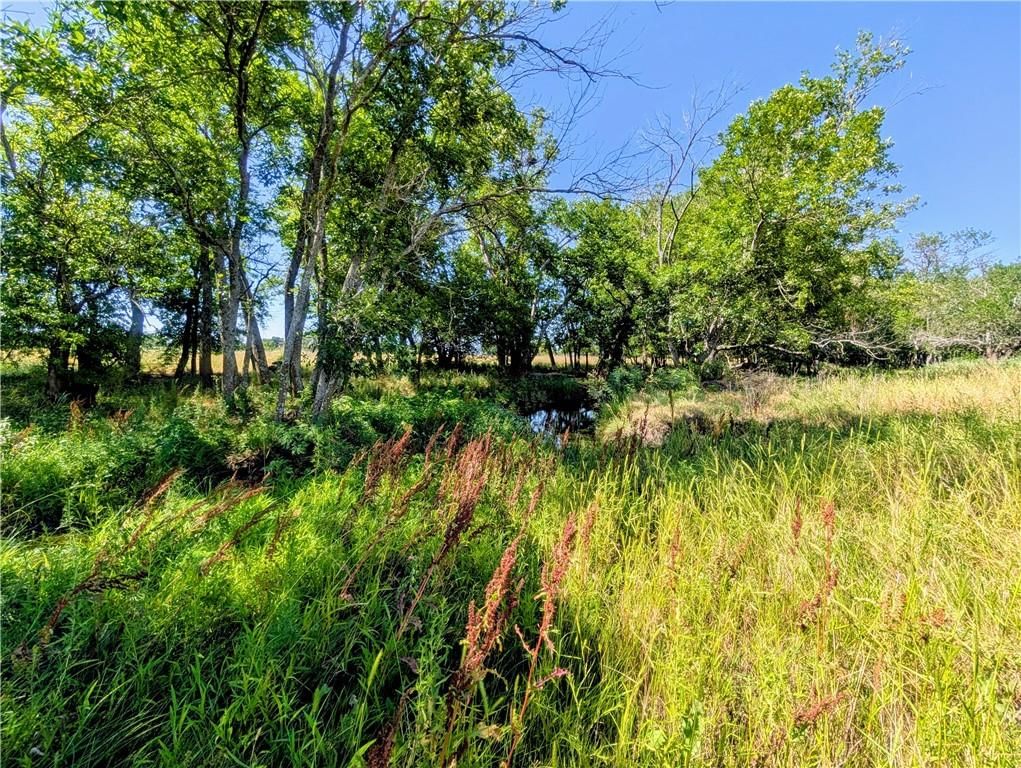 2237 Minnesota Road — photo 30