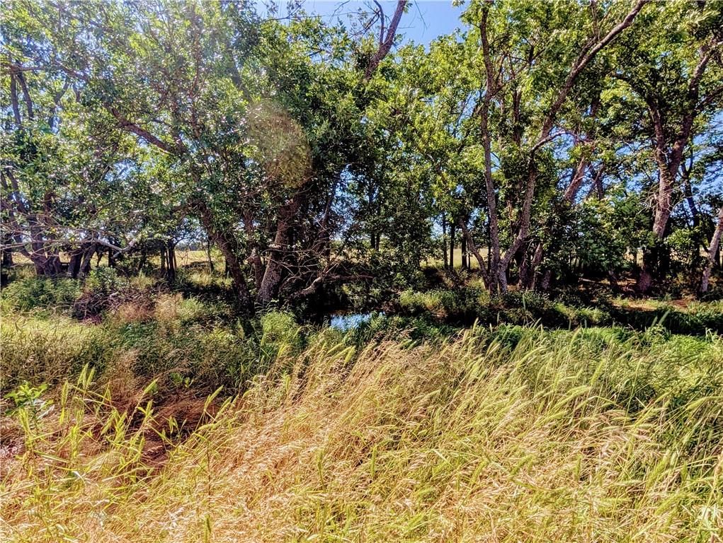 2237 Minnesota Road — photo 31