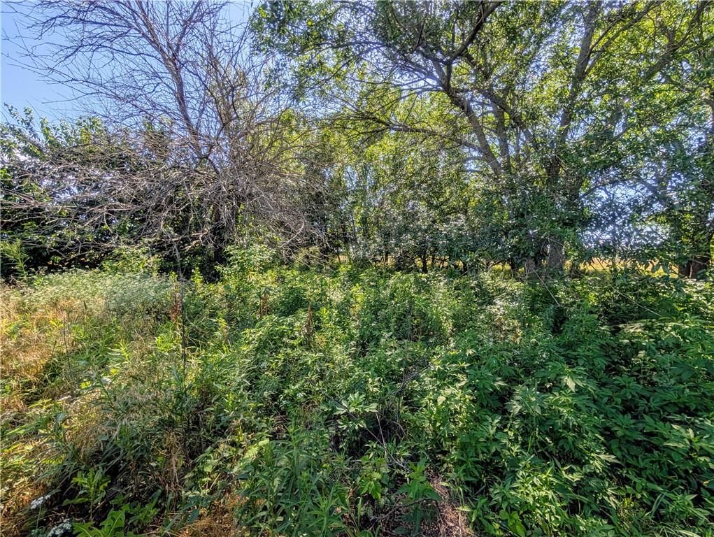 2237 Minnesota Road — photo 34