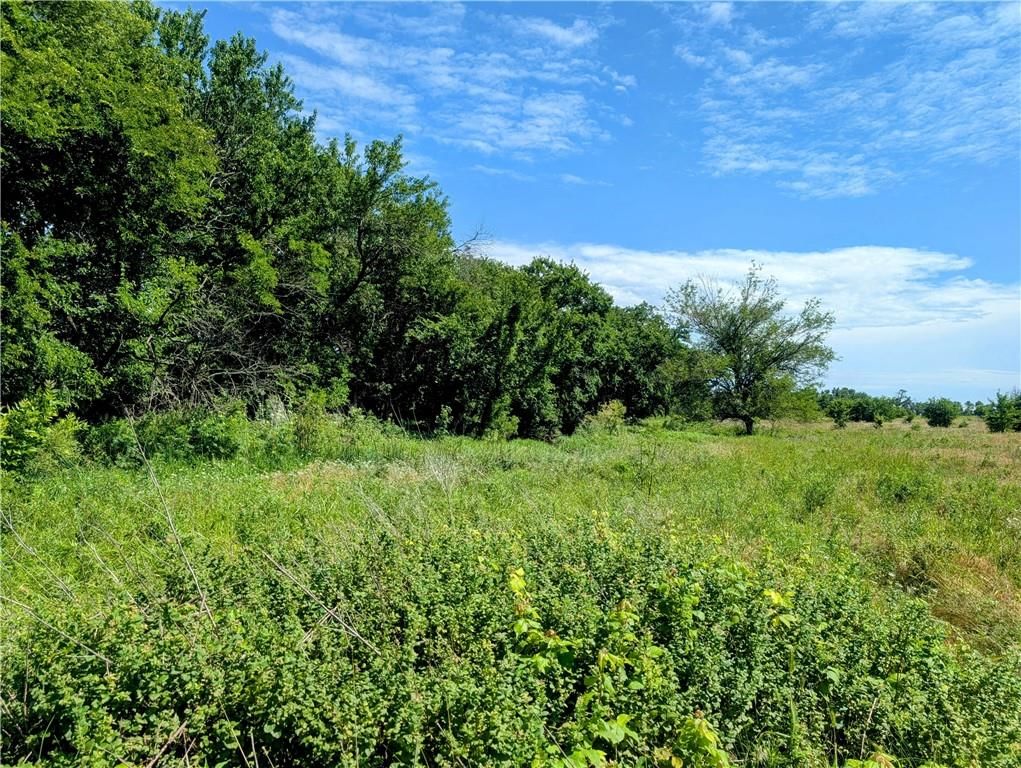 2237 Minnesota Road — photo 9