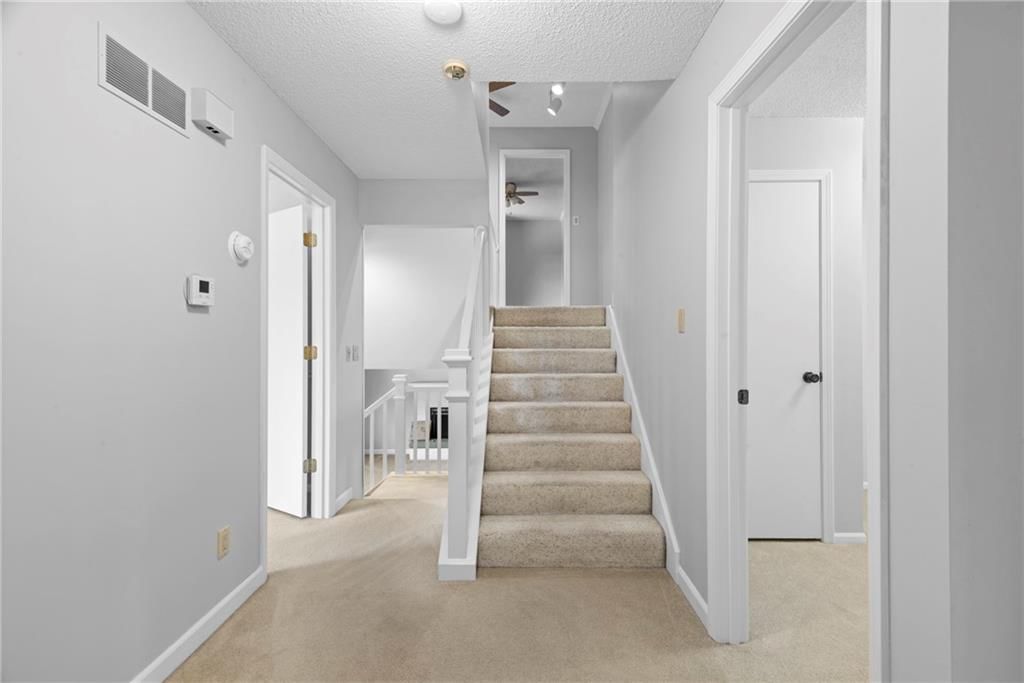 10314 Hauser Street — photo 23