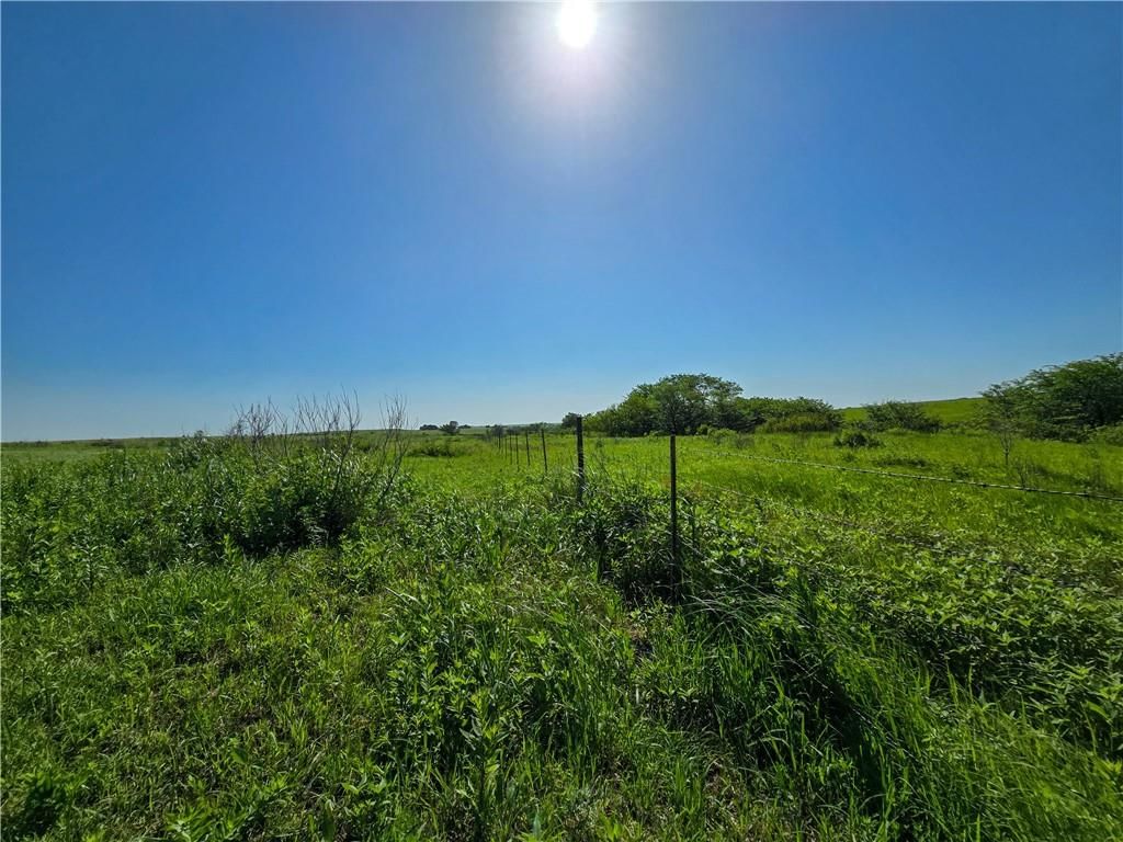 Tallgrass Road — photo 11