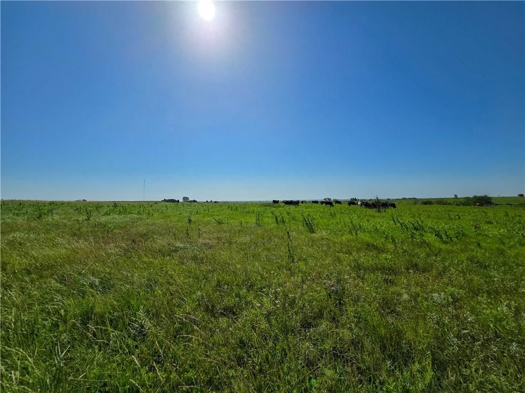 Tallgrass Road — photo 12