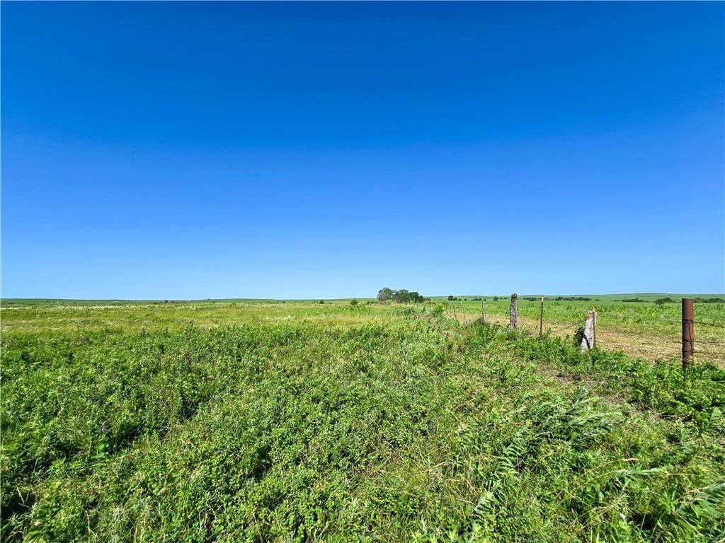 Tallgrass Road — photo 15