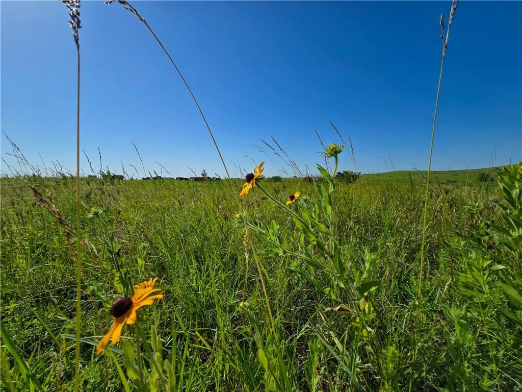 Tallgrass Road — photo 17