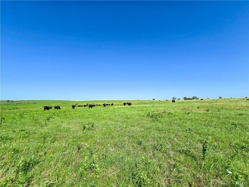 Tallgrass Road — photo 19