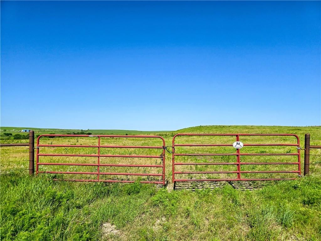 Tallgrass Road — photo 3