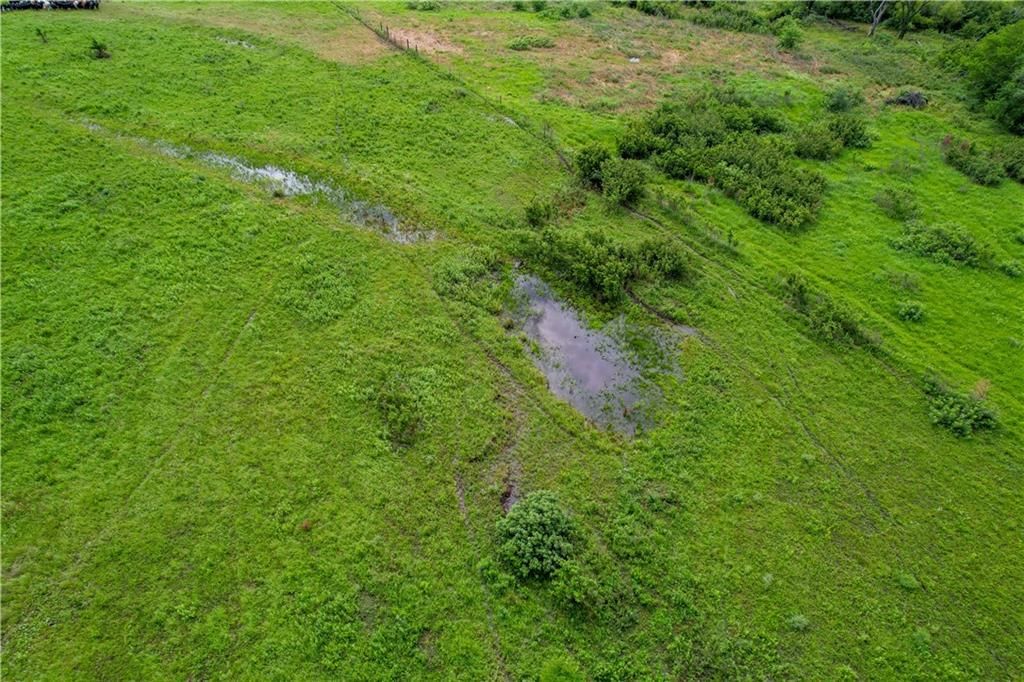 Tallgrass Road — photo 27