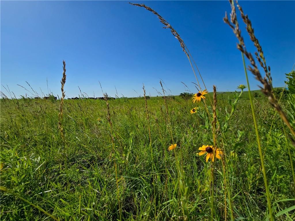 Tallgrass Road — photo 4