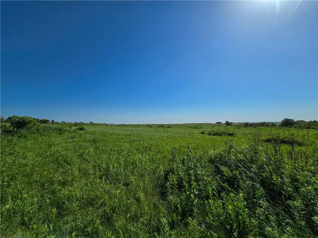Tallgrass Road — photo 5