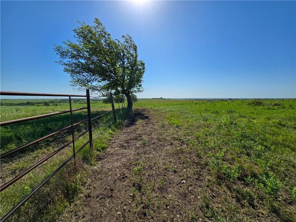 Tallgrass Road — photo 6