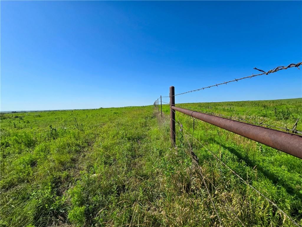 Tallgrass Road — photo 7